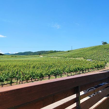 L'Altenberg Bergheim Zewnętrze zdjęcie
