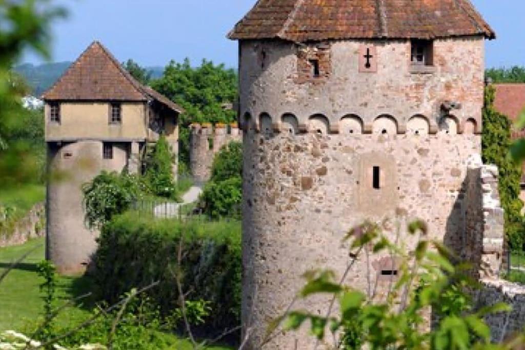 L'Altenberg Bergheim Zewnętrze zdjęcie