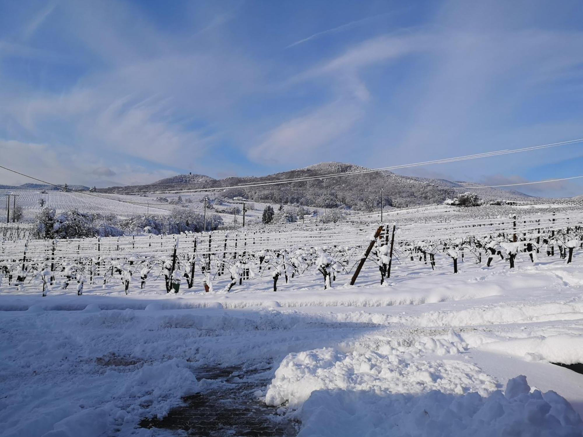 L'Altenberg Bergheim Zewnętrze zdjęcie